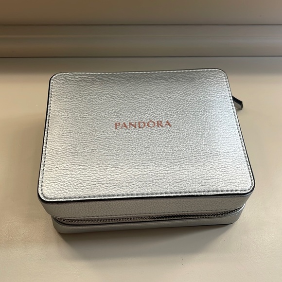 Pandora Storage case - Picture 1 of 4